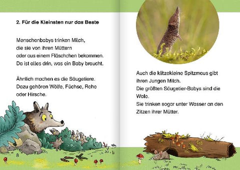 9783751203388 - Sample content