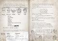 9783751203876 - Sample content