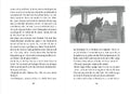 9783751205917 - Sample content