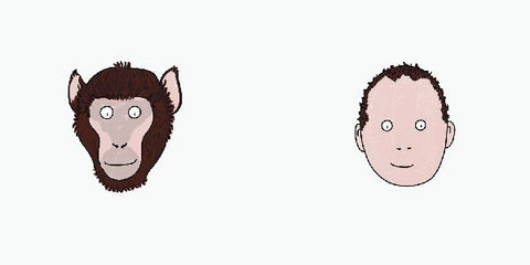 9783751206082 - Sample content