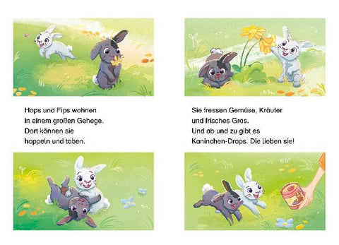 9783751208697 - Sample content