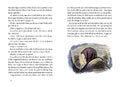 9783751301251 - Sample content
