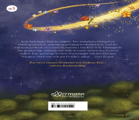 9783751400510 - Back cover