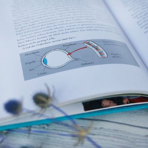 9783751400978 - Sample content