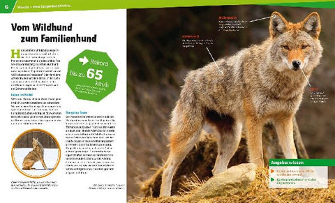 9783788620417 - Sample content