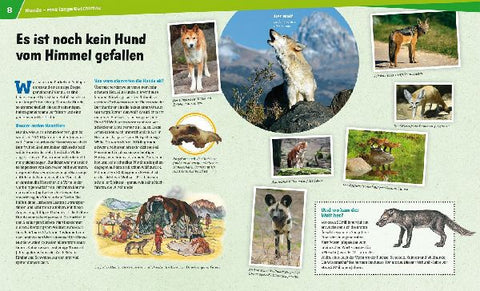 9783788620417 - Sample content