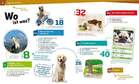 9783788620417 - Sample content