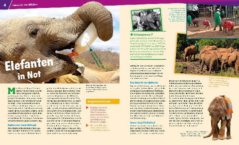 9783788620509 - Sample content