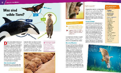 9783788620509 - Sample content