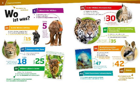 9783788620509 - Sample content