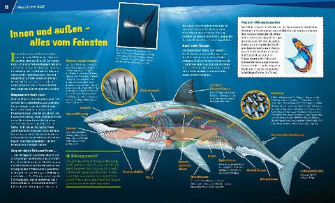 9783788620523 - Sample content