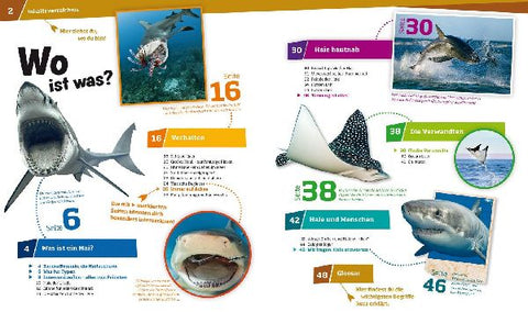 9783788620523 - Sample content