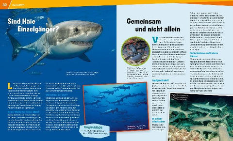 9783788620523 - Sample content