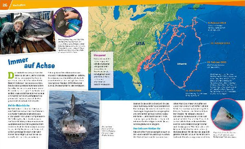 9783788620523 - Sample content