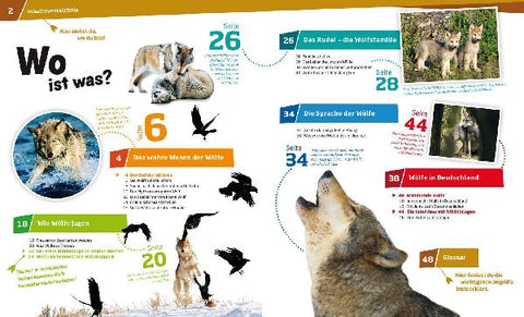 9783788620554 - Sample content