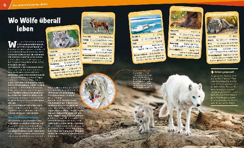 9783788620554 - Sample content