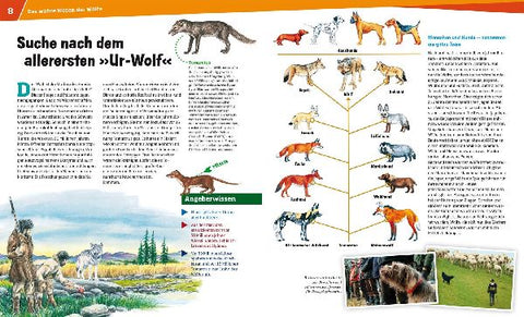 9783788620554 - Sample content