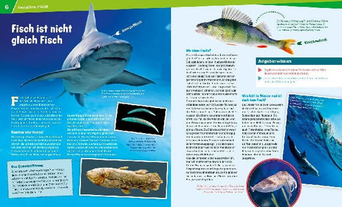 9783788620769 - Sample content