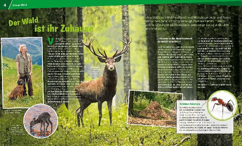 9783788620882 - Sample content