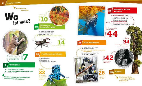 9783788620882 - Sample content