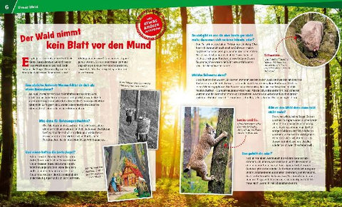 9783788620882 - Sample content