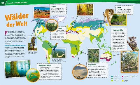 9783788620882 - Sample content