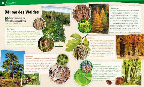 9783788620882 - Sample content