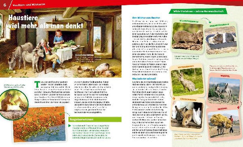 9783788620936 - Sample content