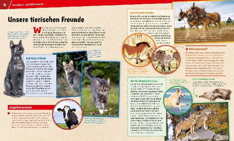 9783788620936 - Sample content