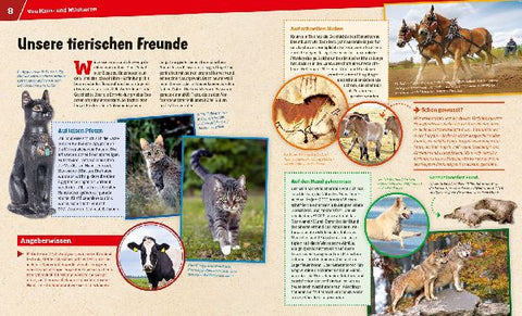 9783788620936 - Sample content