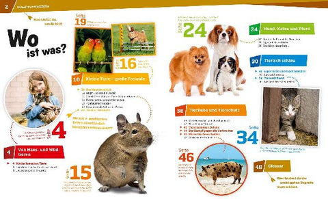 9783788620936 - Sample content