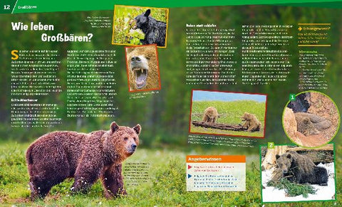 9783788621049 - Sample content