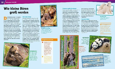 9783788621049 - Sample content