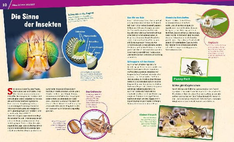 9783788621087 - Sample content