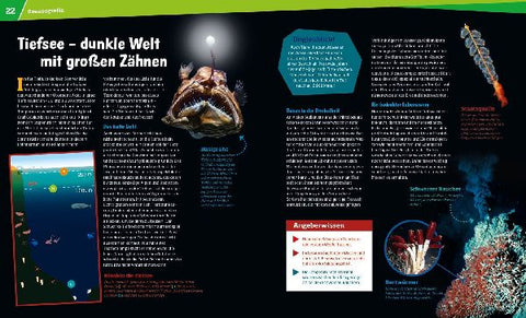 9783788621148 - Sample content