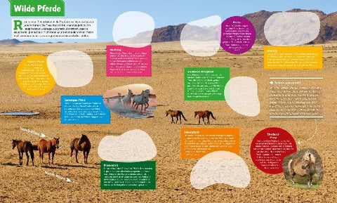 9783788621544 - Sample content