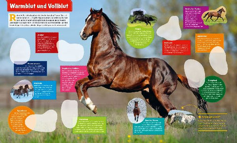 9783788621544 - Sample content