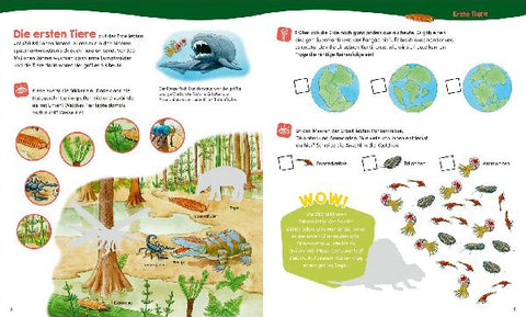 9783788621797 - Sample content