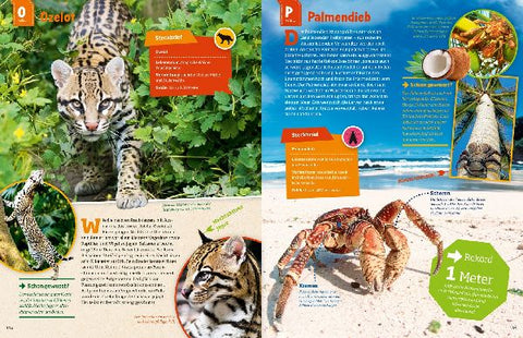 9783788621858 - Sample content