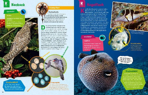 9783788621858 - Sample content