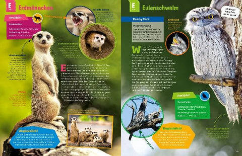 9783788621858 - Sample content