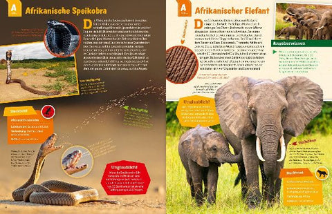 9783788621858 - Sample content