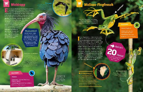 9783788621858 - Sample content