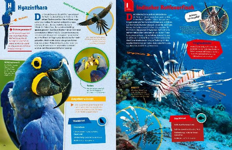 9783788621858 - Sample content