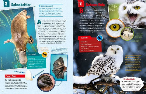 9783788621858 - Sample content