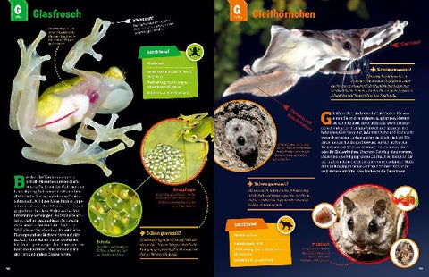 9783788621858 - Sample content