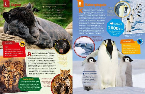 9783788621858 - Sample content