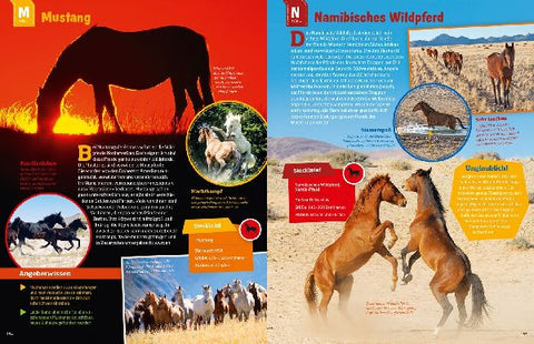 9783788621865 - Sample content