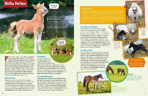 9783788621865 - Sample content