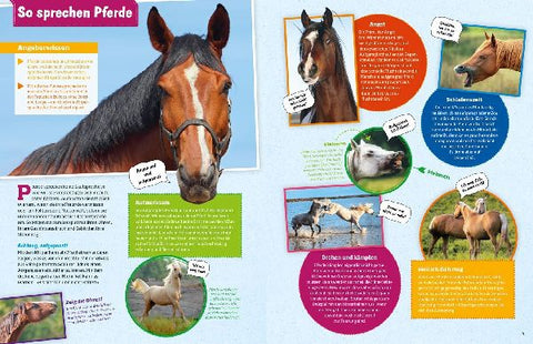 9783788621865 - Sample content